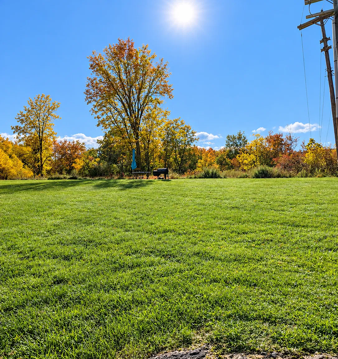 1 bed, 500 sqft, $1,200 — Photo 4