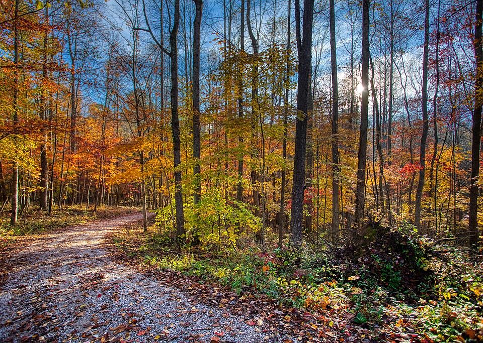 1st image of 1192 Shellotte Loop Rd