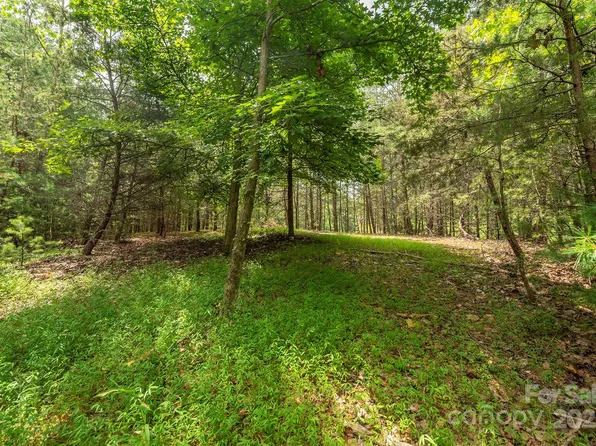 LOT 46 Black Forest Dr, Marion, NC 28752