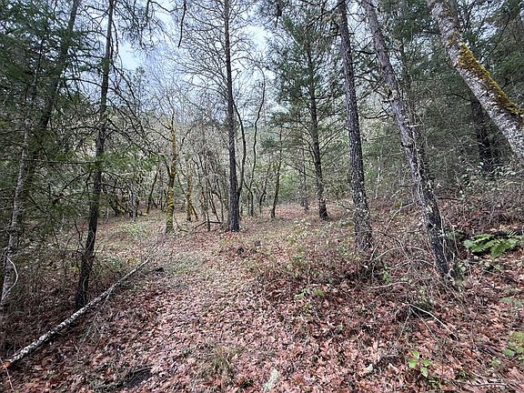 3rd image of 907 Riverbanks Rd #907