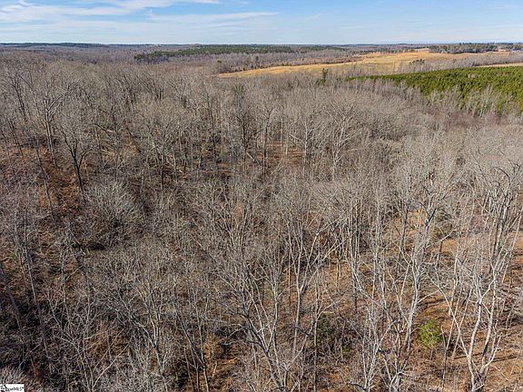 5th image of 247 Stallion Dr