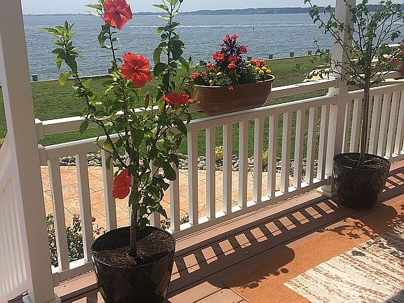 Open bay view