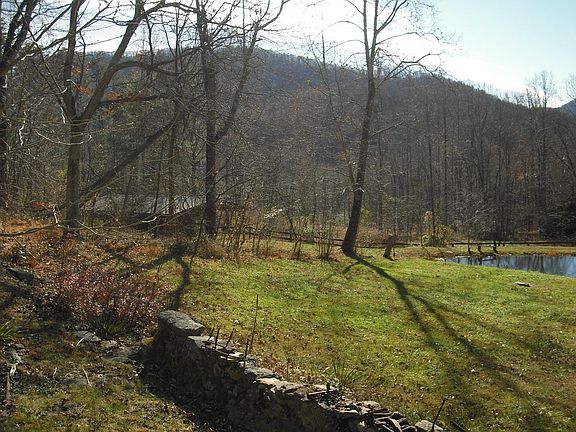 views from the front patio