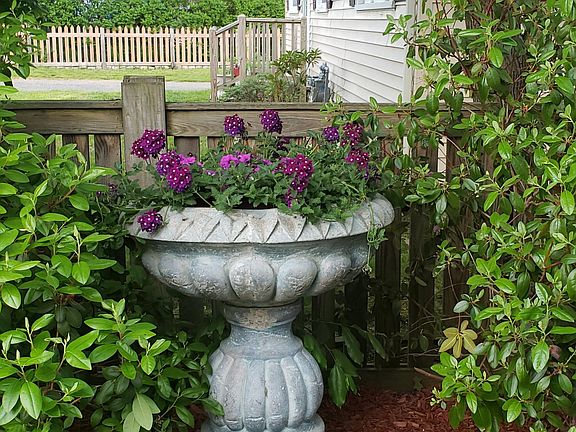 Side yard landscaping