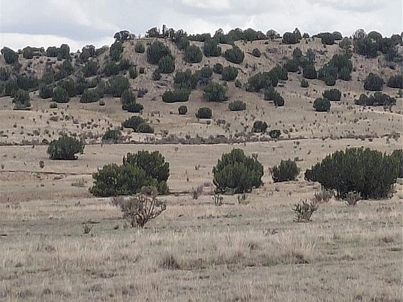 3rd image of PAR 62 Horse Creek Road LOT 62