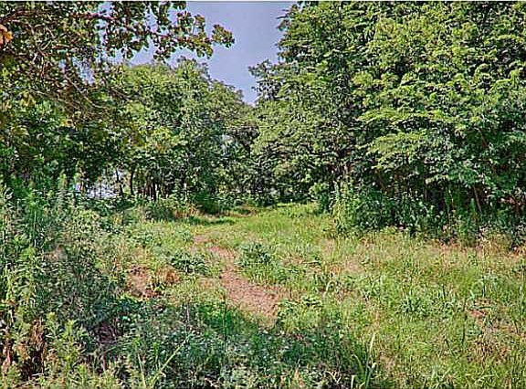 5th image of 6425 Gold Cypress Dr Lot 8
