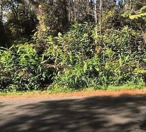 2nd image of 11-3931 Liona St Lot 53-B