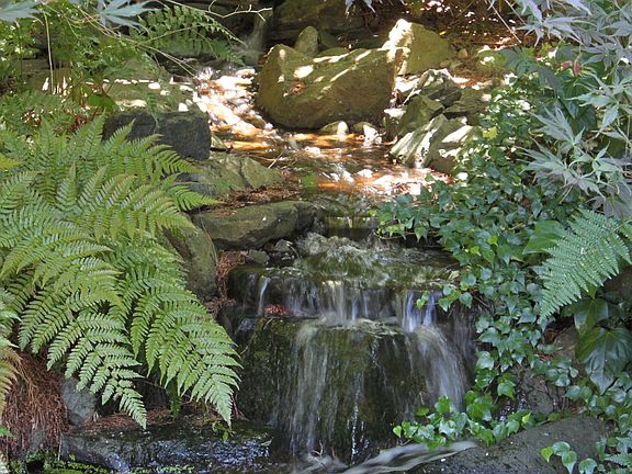 Soothing Waterfall & Pond