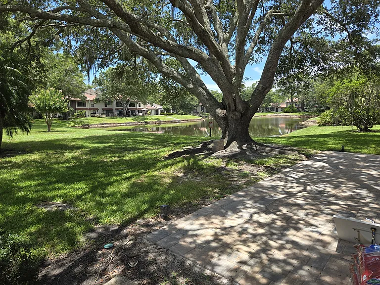 3505 Tarpon Woods Blvd #405 — Photo 8