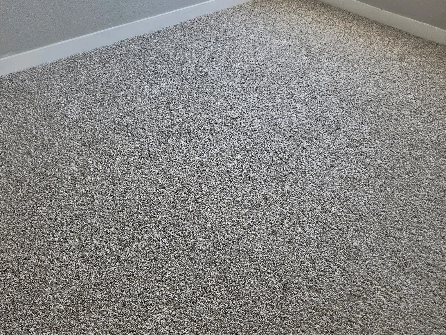 2 bed, 865 sqft, $1,650 — Photo 2