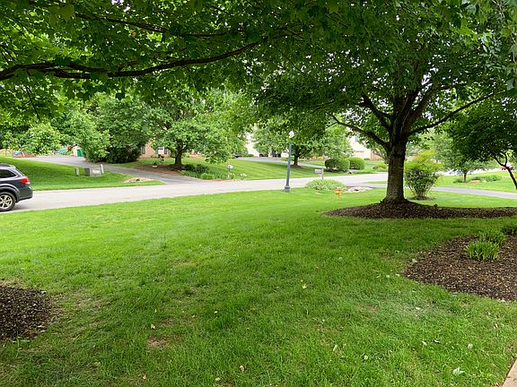 Front yard from walkway