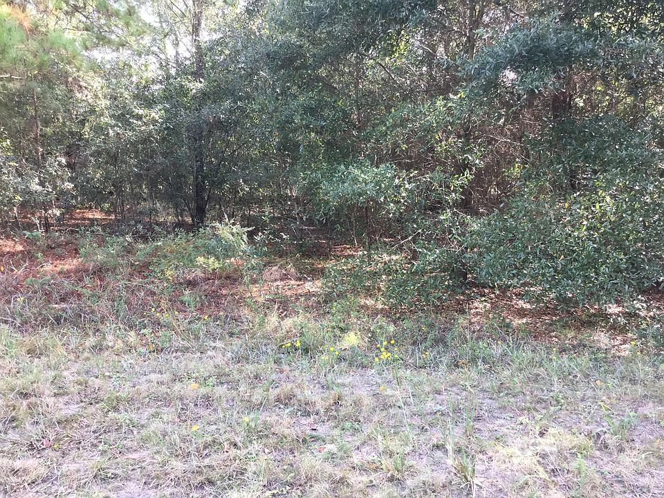 2nd image of 9767 County Road 132