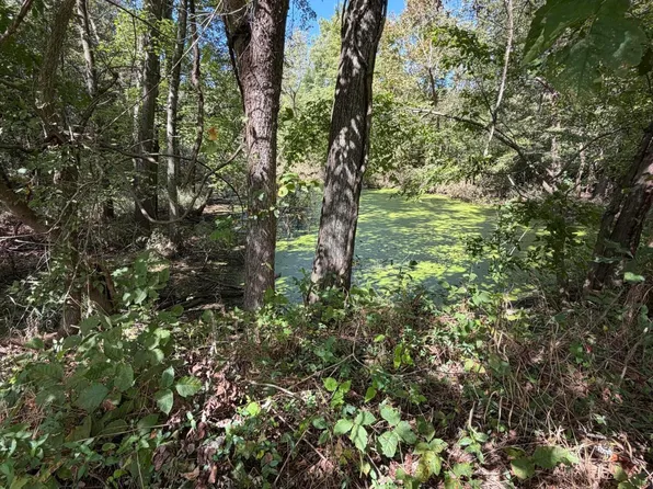 0 State Route 121 S, Bardwell, KY 42023