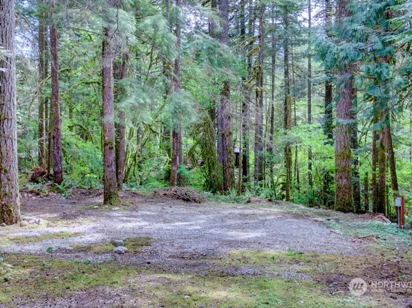 11 2 Wilderness Way, Deming, WA 98244