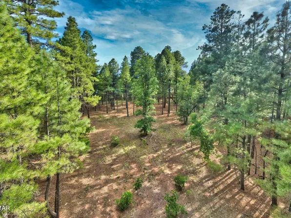 2621 W Snowberry Loop, Show Low, AZ 85901