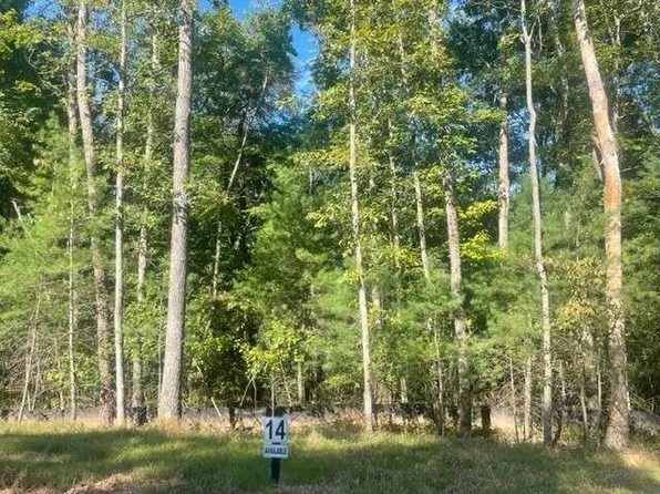 14 Clear Creek Trl, Ellijay, GA 30536