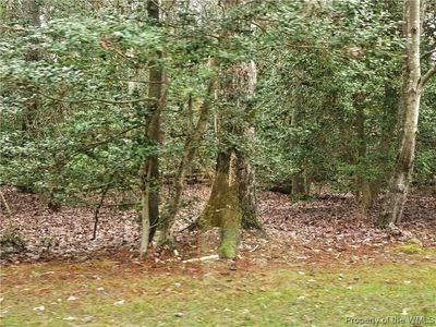 2114 Hornes Lake Rd, Williamsburg, VA, 23185