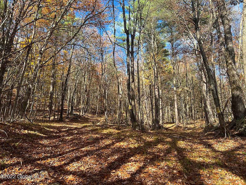 5th image of L26 Brownell Hollow Rd