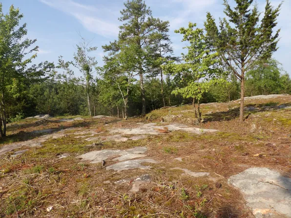 2 Summer City Rd, Evensville, TN 37332