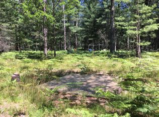 8856 S California St, Idlewild, MI 49642