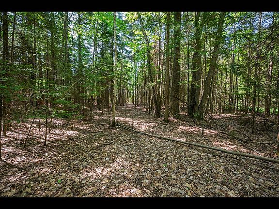 2nd image of LOT 1 Memory Ln