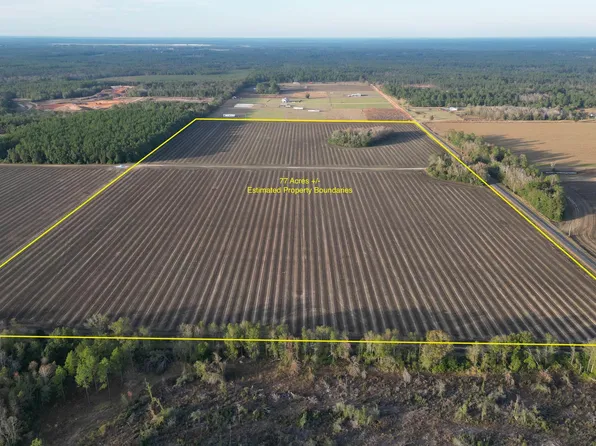 0 Cc Rd, Elberta, AL 36530