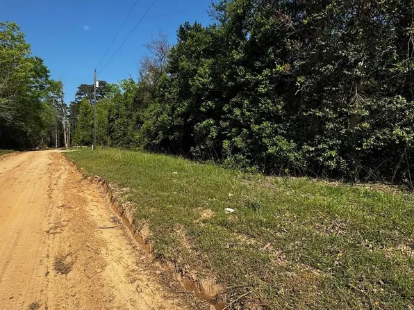 Lannie Blvd, Livingston, TX 77351