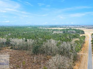 TRACT 2 Tank Rd, Odum, GA 31555