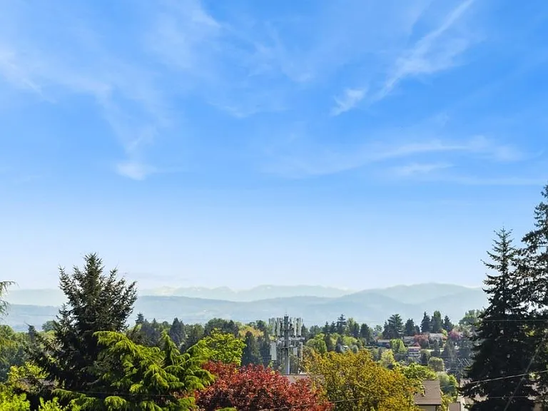 View from backyard