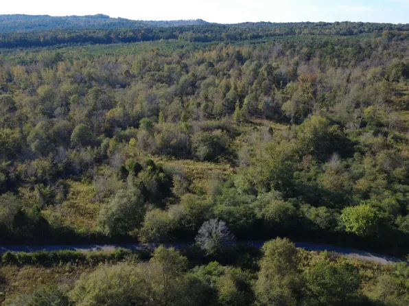 37 County Rd #3124-6, Collinsville, AL 35961