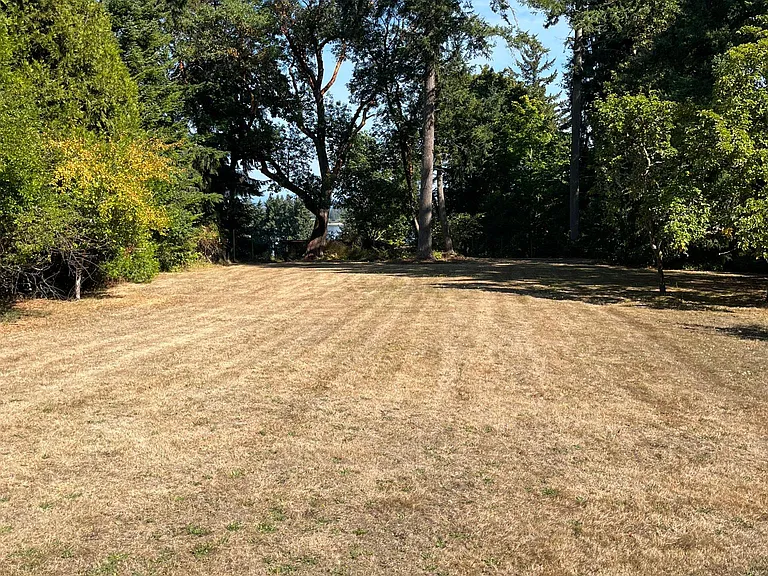 Front yard
