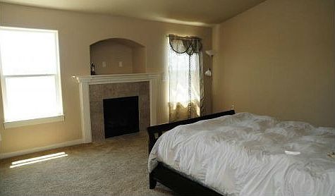 Master bedroom- gas fireplac