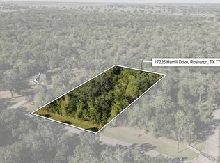 17226 Hamill Dr, Rosharon, TX 77583