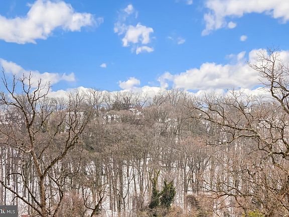 5th image of 5904 Mount Eagle Dr APT 516