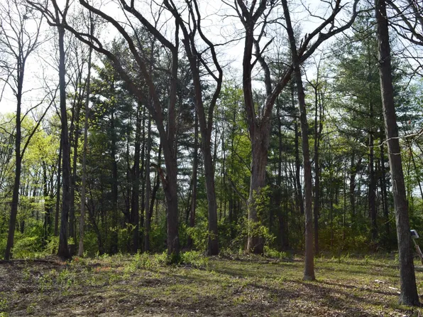 1974 County Road 1020 N, Fairfield, IL 62837
