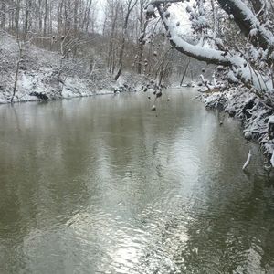 1440 McClardy Rd Lot 66, Clarksville, TN, 37042