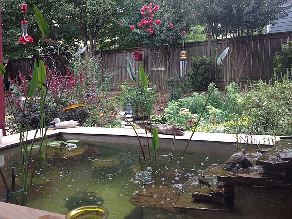 3rd image of 402 Park Creek Trce