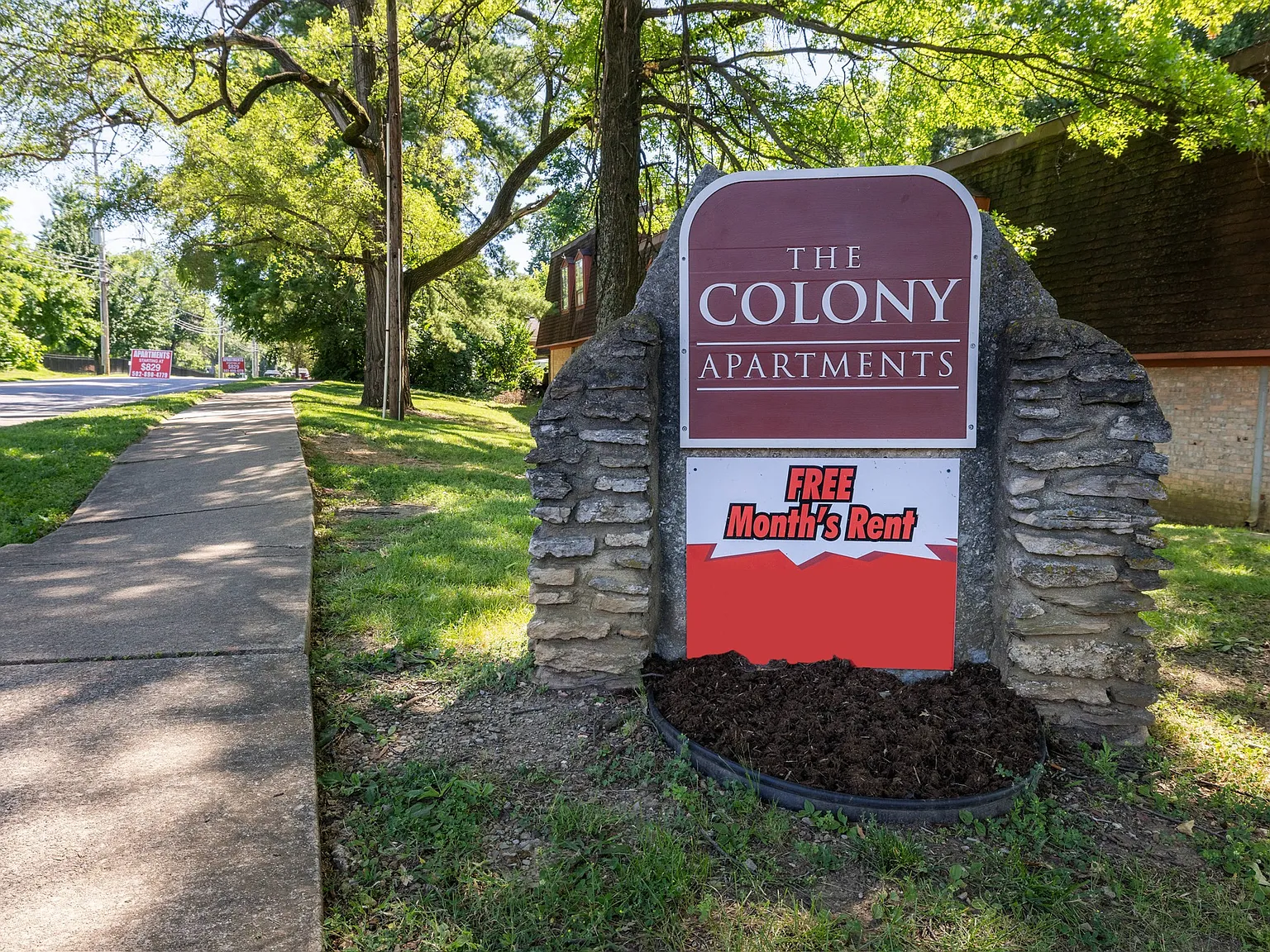 Colony — Photo 2
