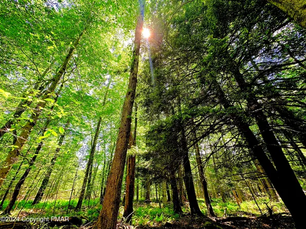 1A Beaver Ave, Pocono Lake, PA 18347