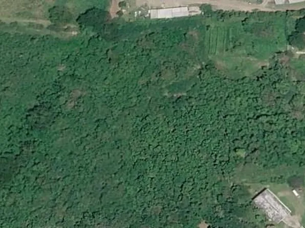 State Highway 201, Vieques, PR 00765