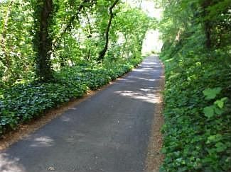 2nd image of 300 Circle Dr