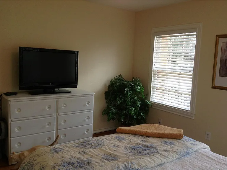 704 Sue St — Photo 19
