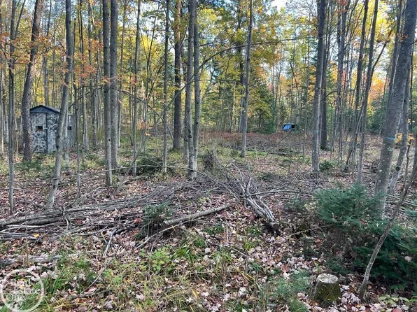 0 Lansing Rd, Roscommon, MI 48653