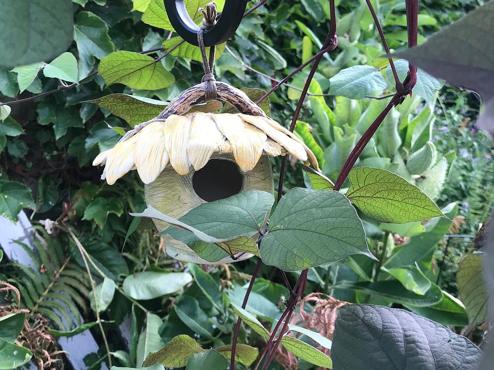 FIND YOUR Best Nest Here