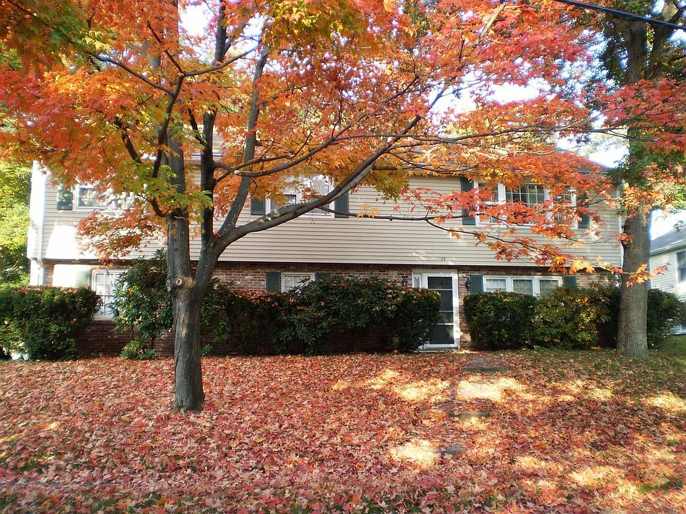 Front view in Autumn