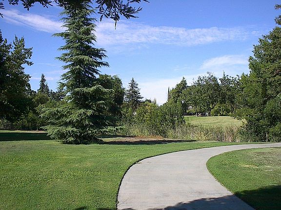 View from the Back Yard