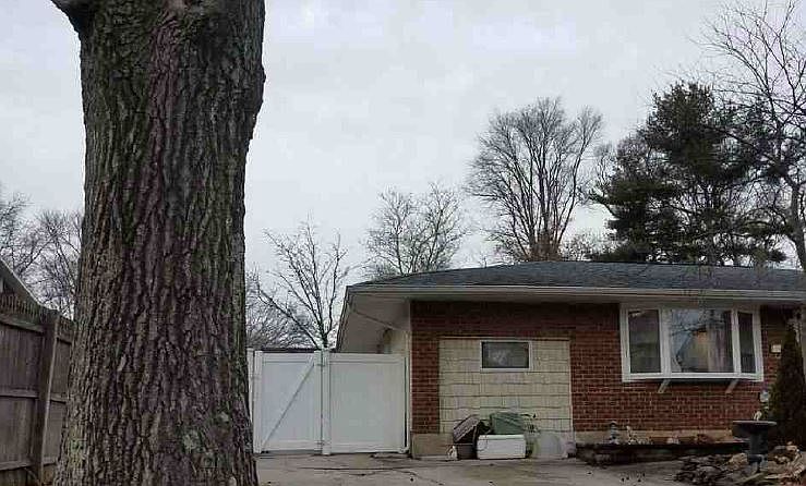 2nd image of 23 Joyce Ln