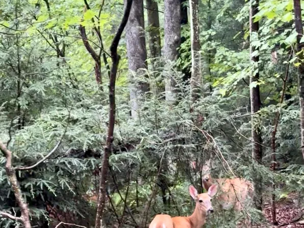 LOT 108 Cottonwood Dr, Jim Thorpe, PA 18229