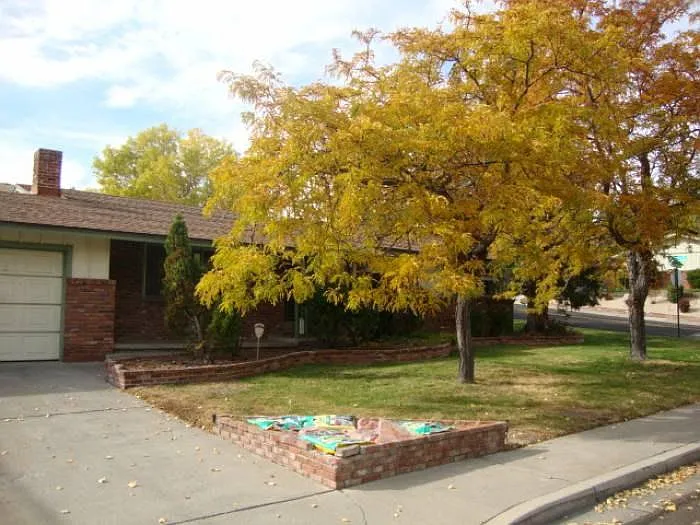 1801 Lander St photo 1