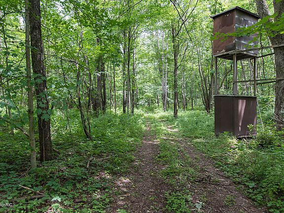 4th image of Uldriks Dr